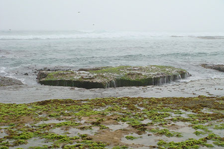rock pools